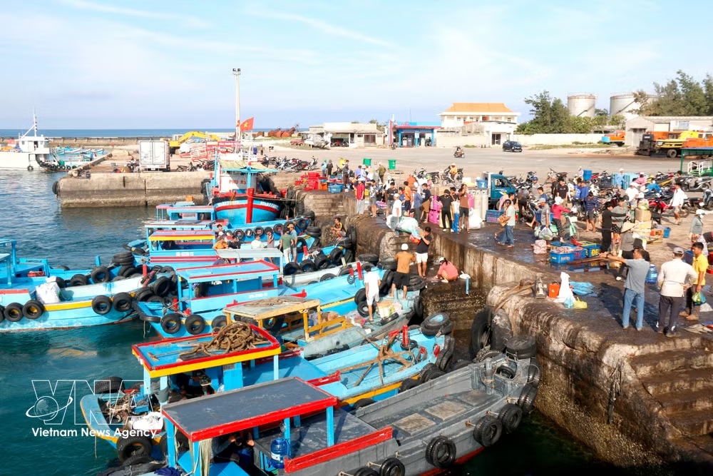 vnanet-ca.jpg
