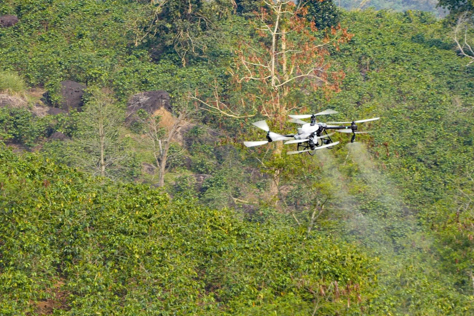 Tech giants vow to ‘redraw’ Dien Bien's economy using Unmanned Aerial Vehicles