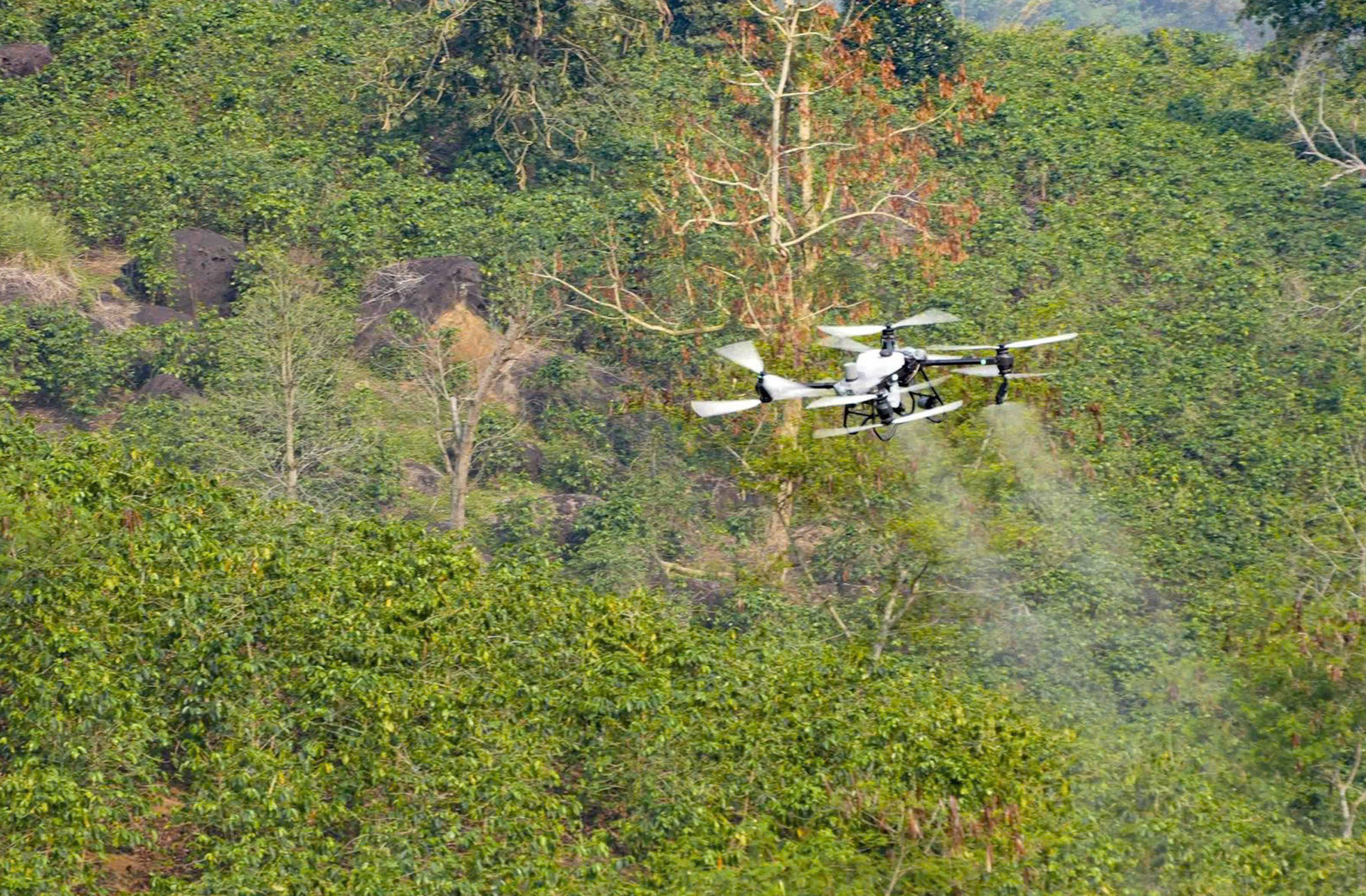 UAV Dien Bien.jpg