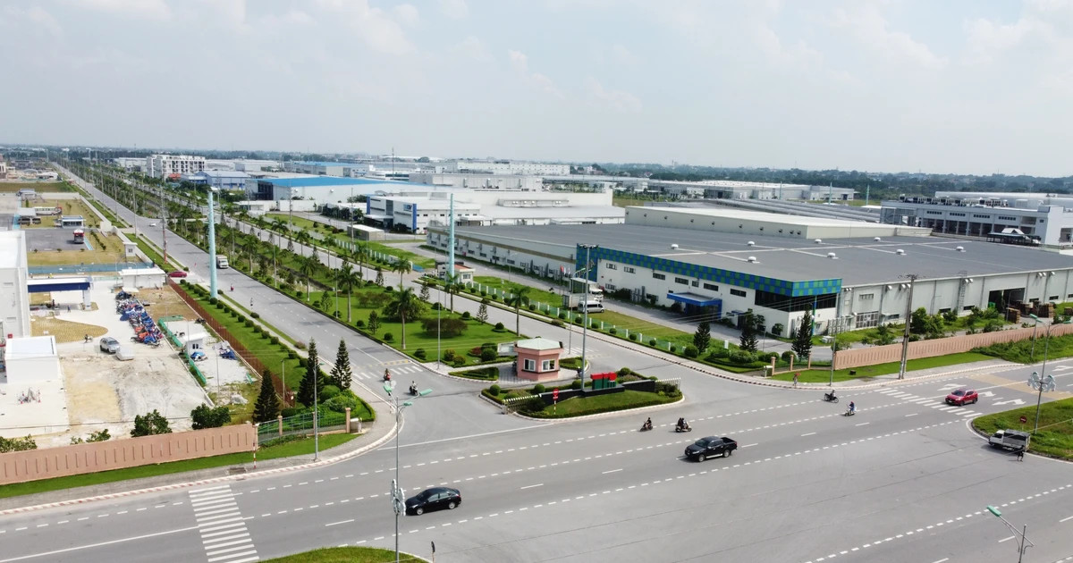 Strong economic conglomerates drive domestic economic growth
