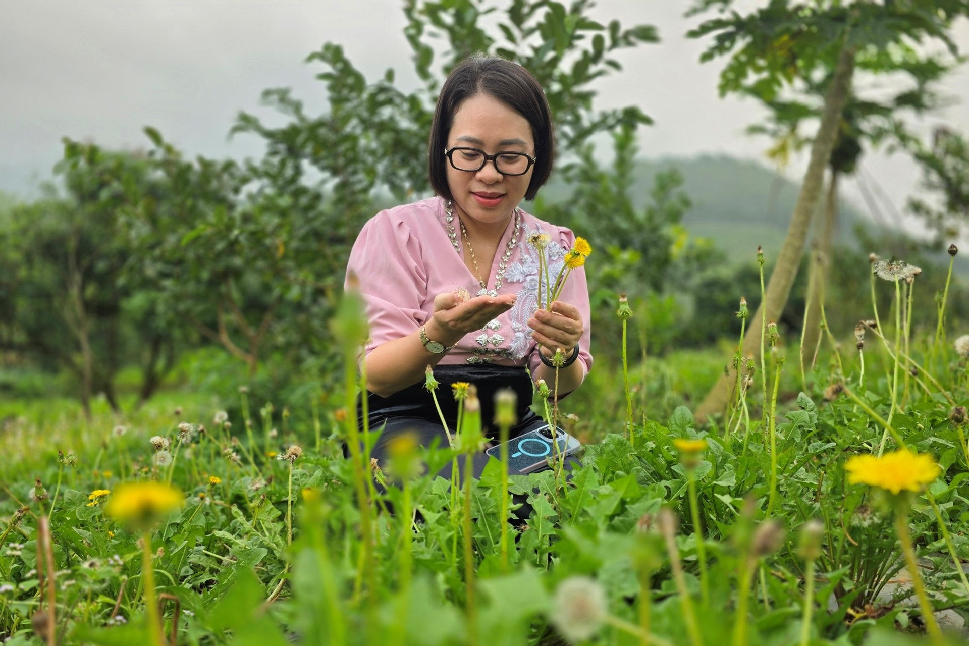 Tay herbalist helps sustain the 