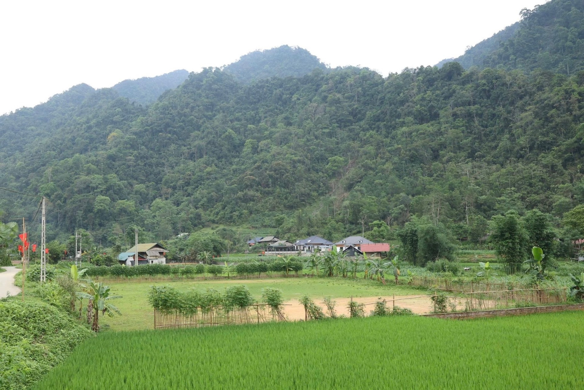 Chuyển đổi số 1.jpg