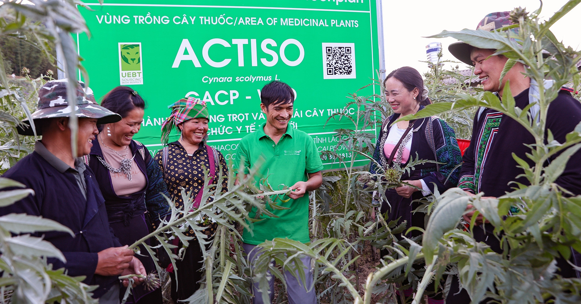 Medicinal herb farming transforms Mong families’ lives in Sa Pa
