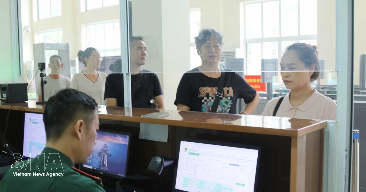 Software launched to streamline temporary residence declarations for foreigners