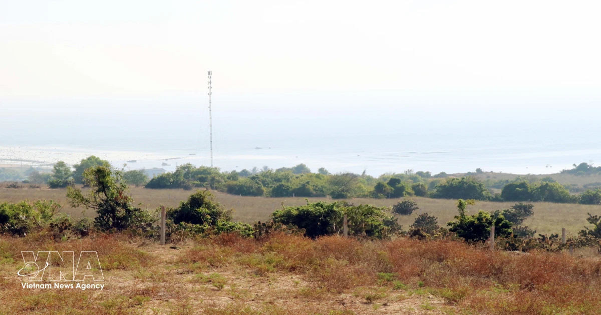 All-out push to fast-track Vietnam’s first nuclear power plants