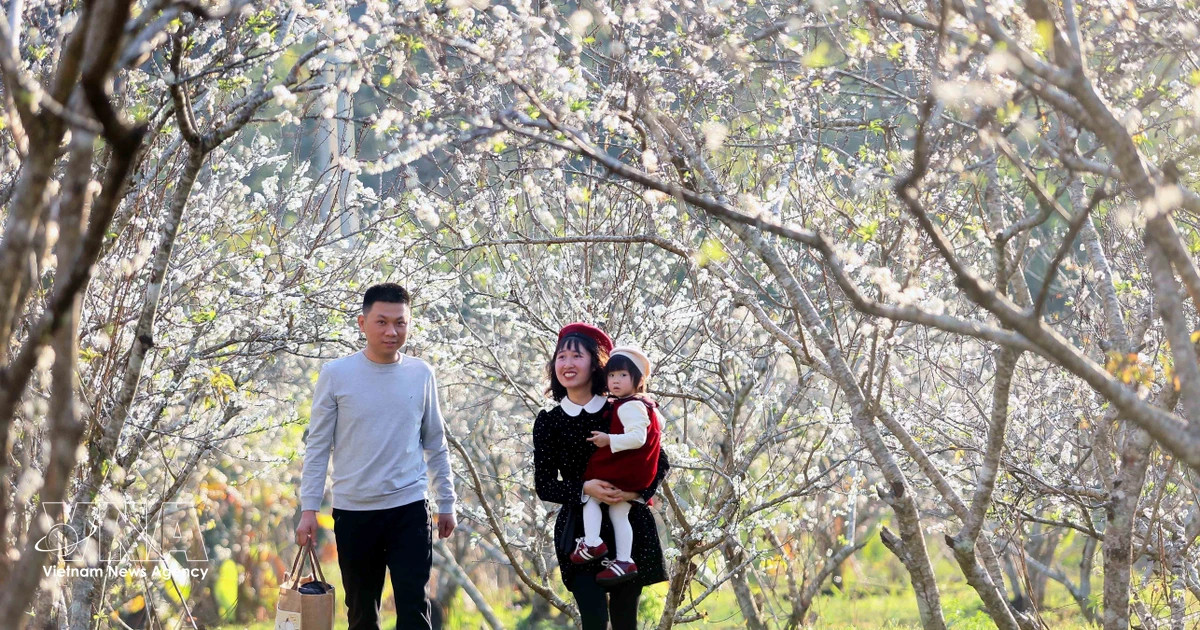 Northwest cultural showcase to open in Son La in May