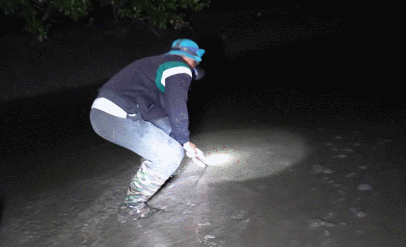 bắt con lịch.gif