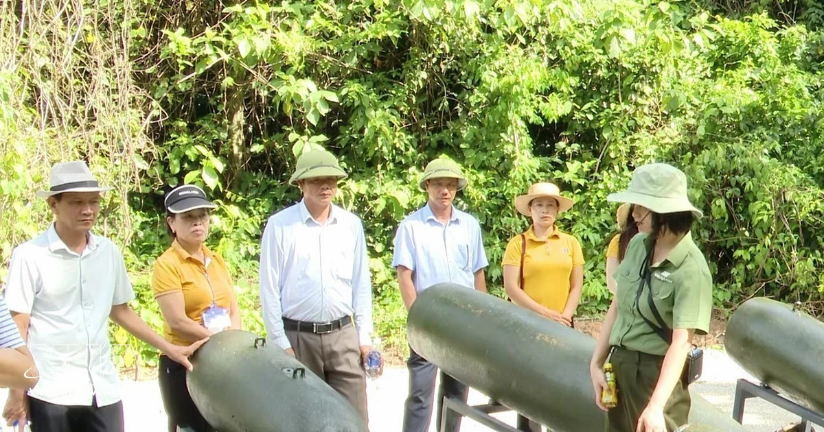 Command Cave tour breathes new life into Truong Son legend