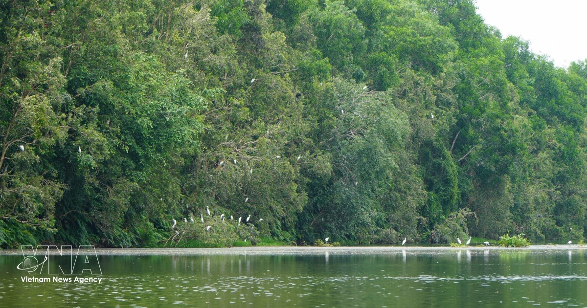 Local initiatives drive VN's push to protect biodiversity for sustainable future