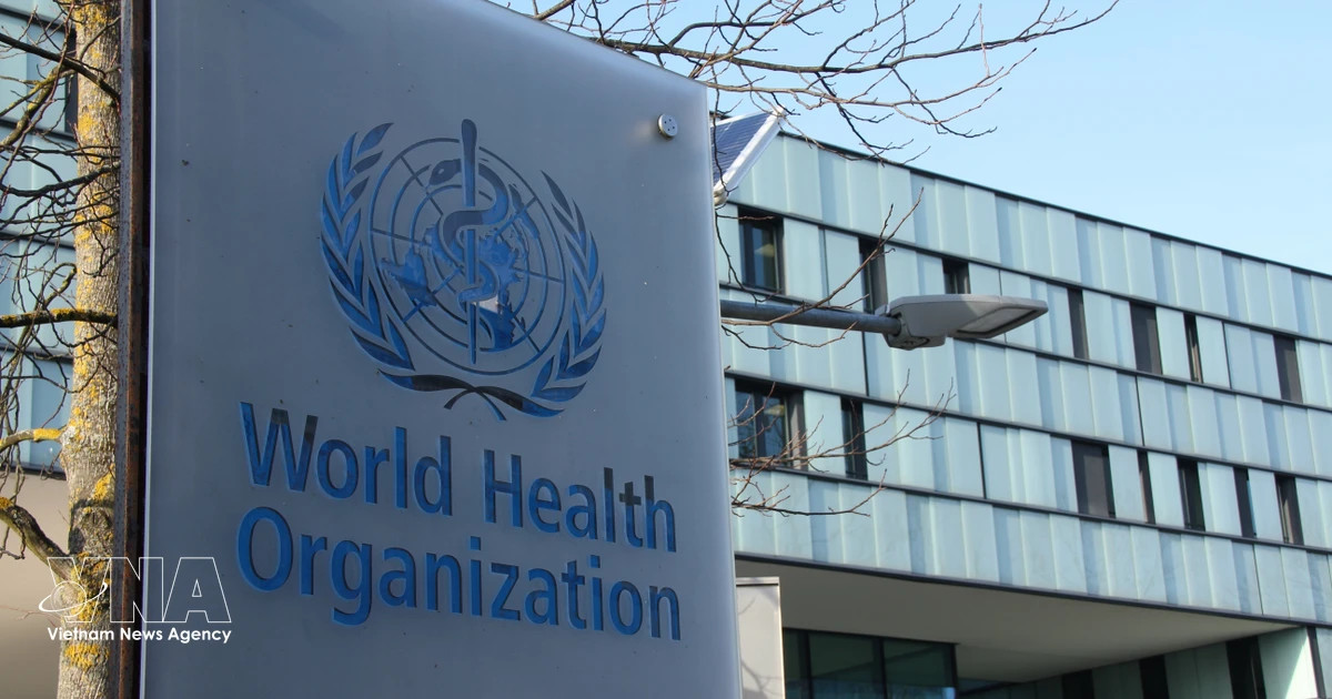 WHO recognises Vietnam’s achievements in tobacco harm prevention