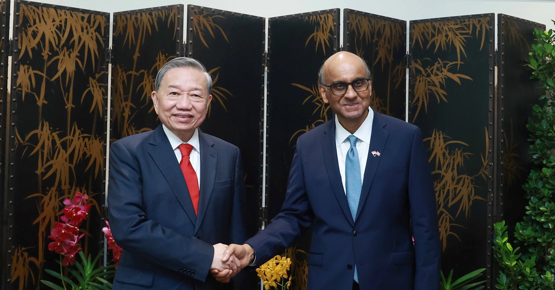 Vietnam’s top leader to make state visit to Singapore