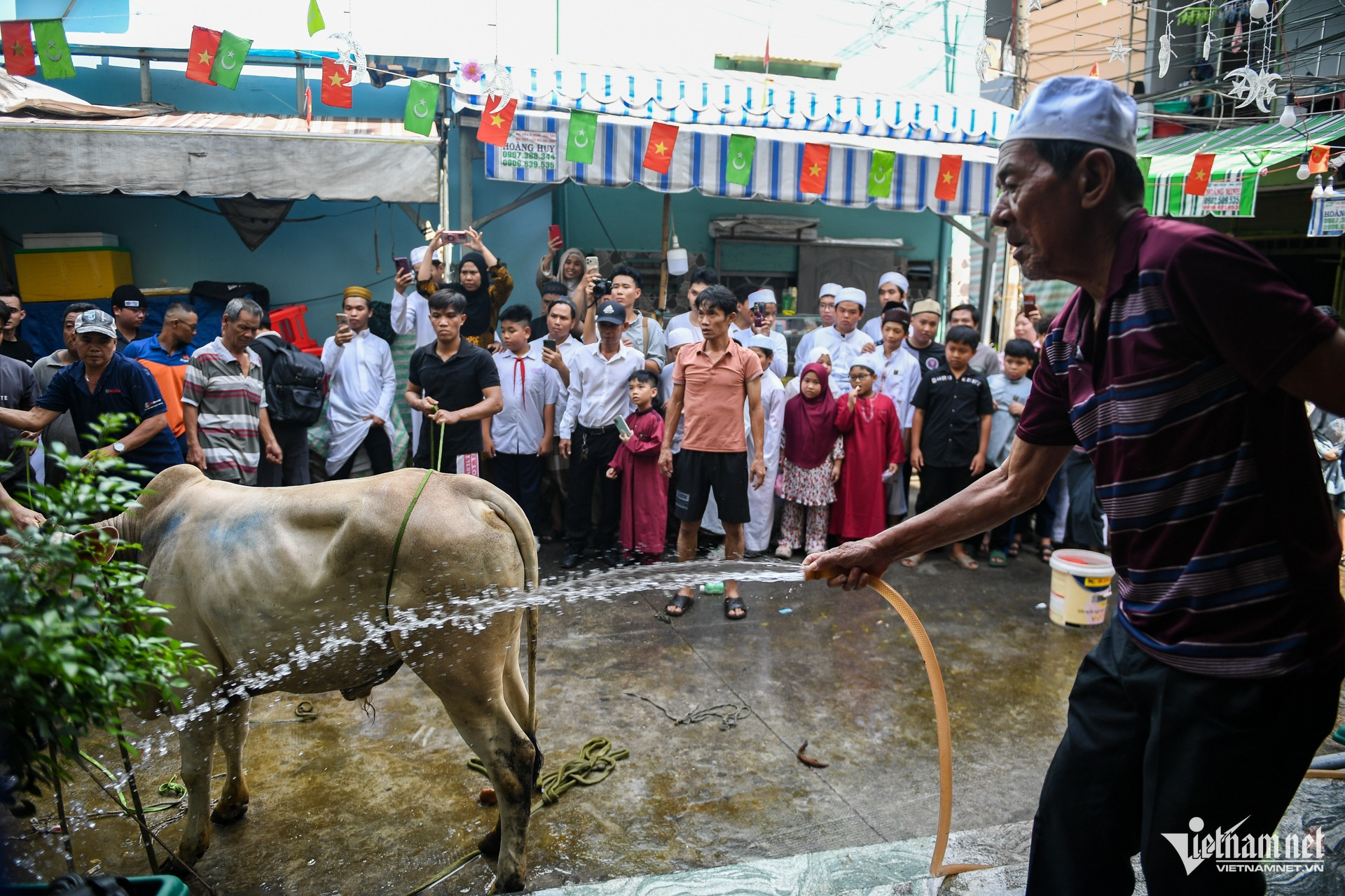 cham people7.jpg