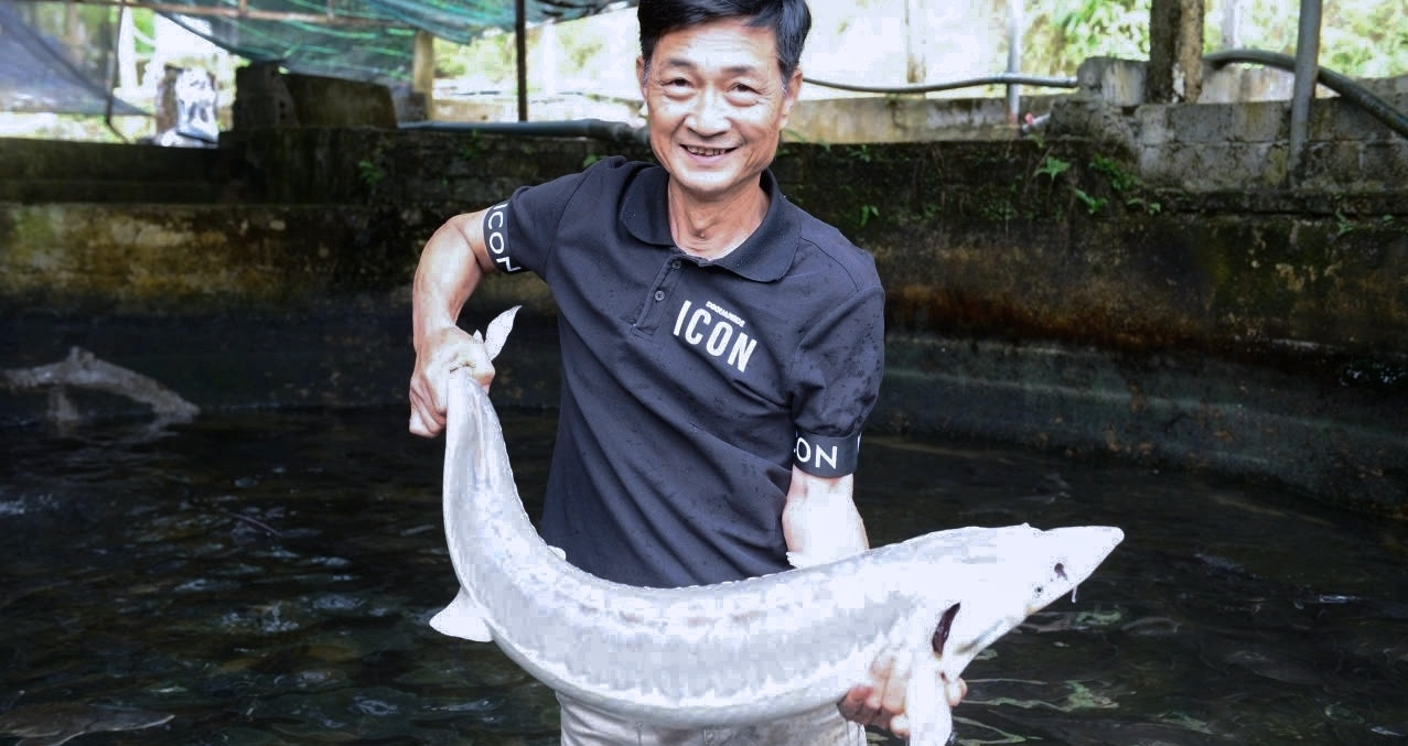 Vietnam’s mountain sturgeon farmers battle rising costs and shrinking profits