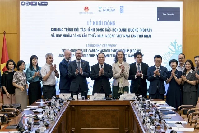 Blue carbon partnership launched to unlock green finance