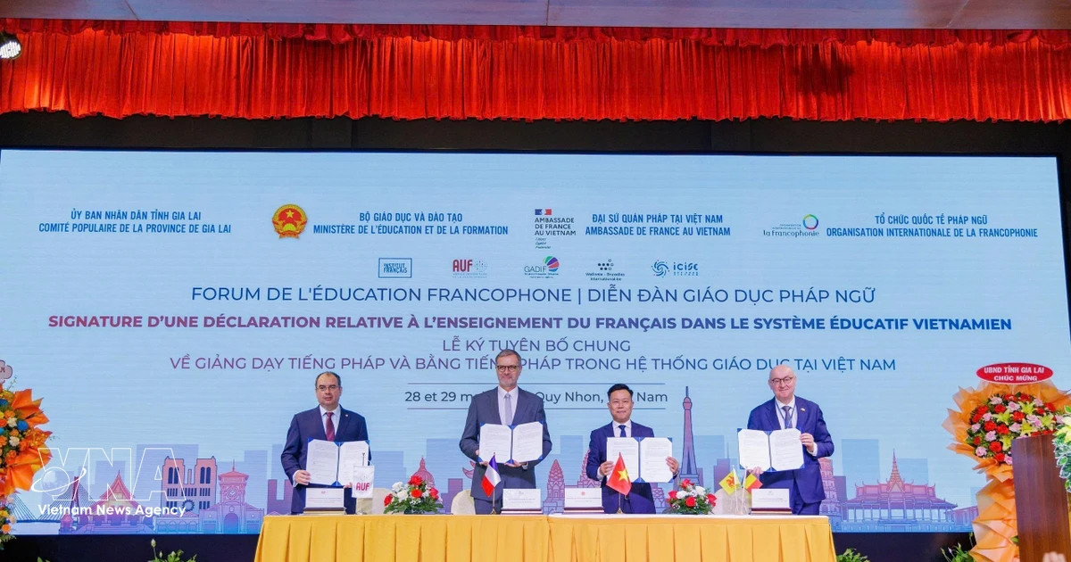 Gia Lai hosts Francophone education forum