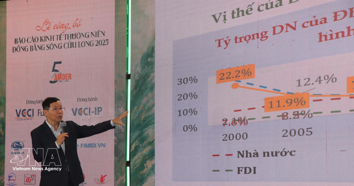 Mekong Delta Economic Report 2025 calls for institutional breakthroughs