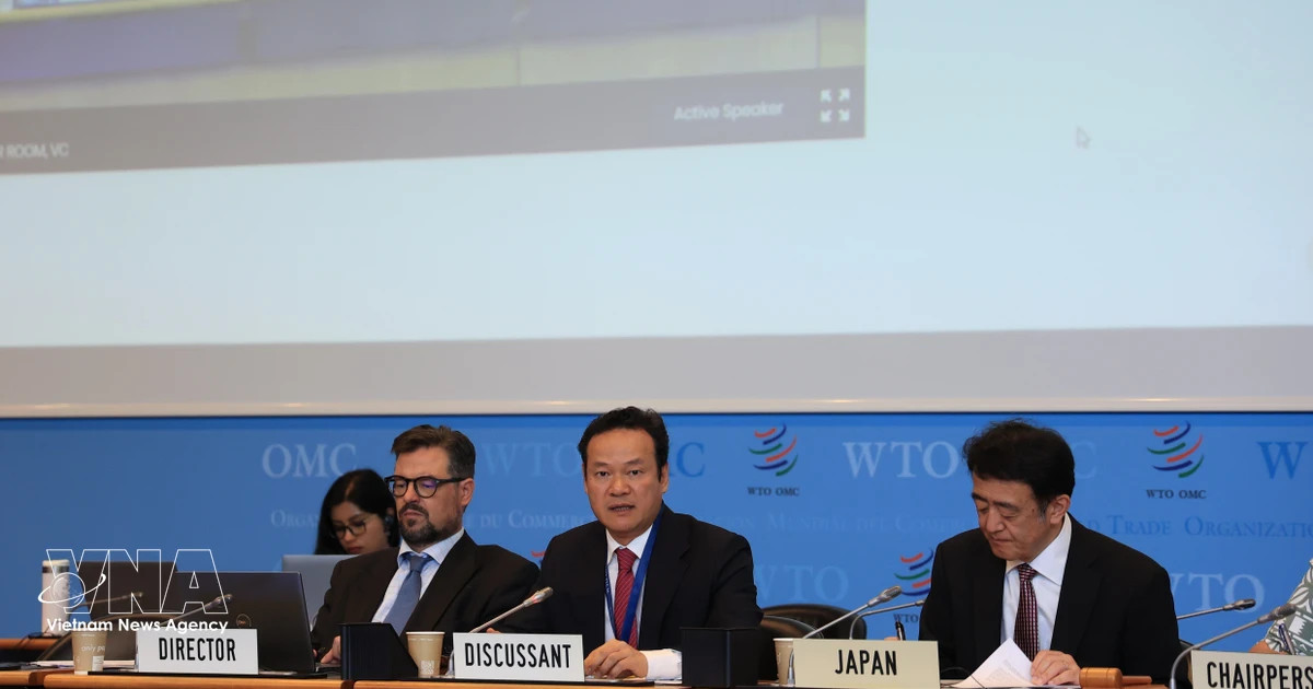 Vietnam attends Japan’s WTO Trade Policy Review session