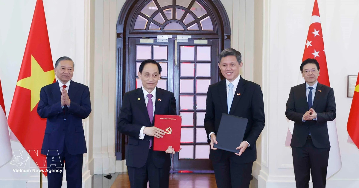 Vietnamese, Singaporean leaders witness exchange of cooperation documents