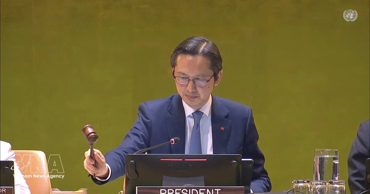 Vietnam wins praise as NPT Chair at 11th review conference
