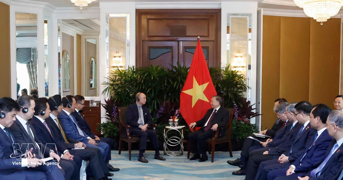 Top leader praises Singaporean investments’ contributions to VN's development