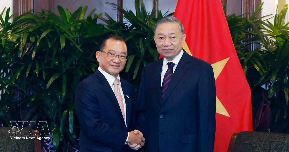 Top Vietnamese leader meets Singaporean Parliament Speaker