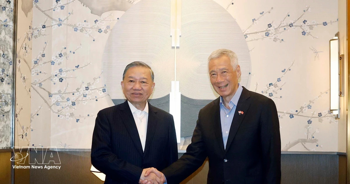 Vietnam-Singapore ties: a cooperation model in ASEAN
