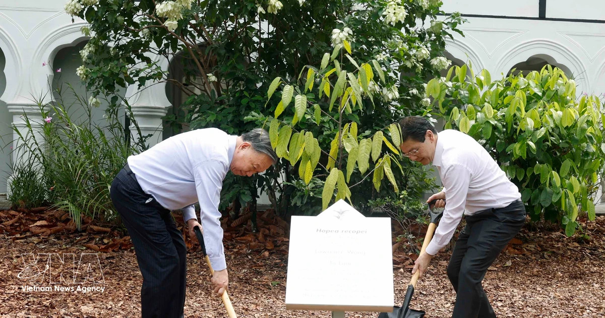 Vietnam's top leader, Singapore PM plant tree at Singapore Botanic Gardens
