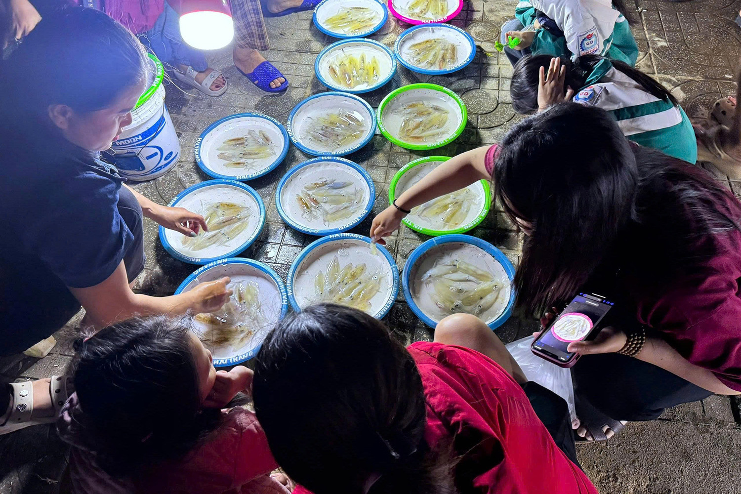 mực nháy 2.jpg
