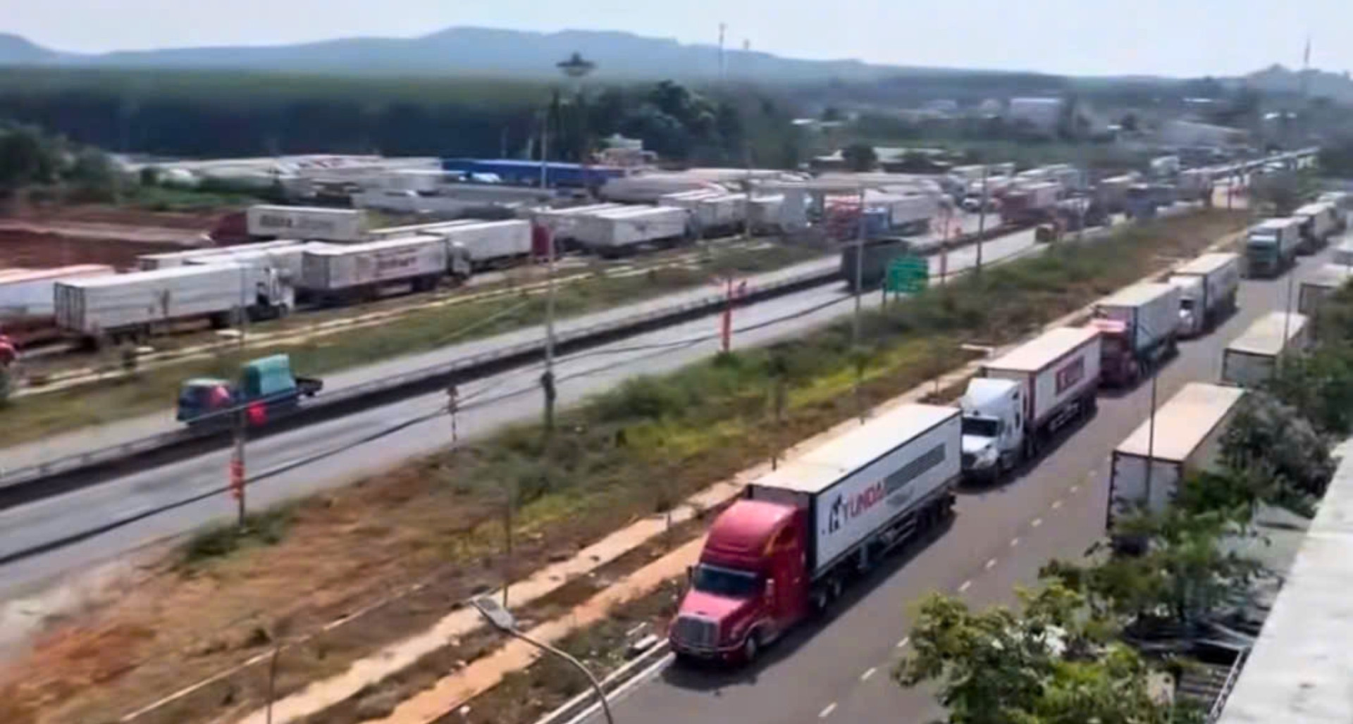 Durian export checks trigger container backlog in Dong Nai