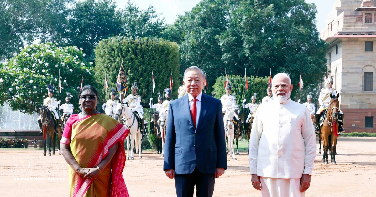 Official welcome ceremony held for top Vietnamese leader in New Delhi