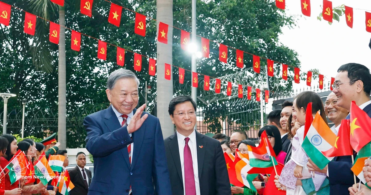 Party Chief, State President To Lam meets with Vietnamese community in India