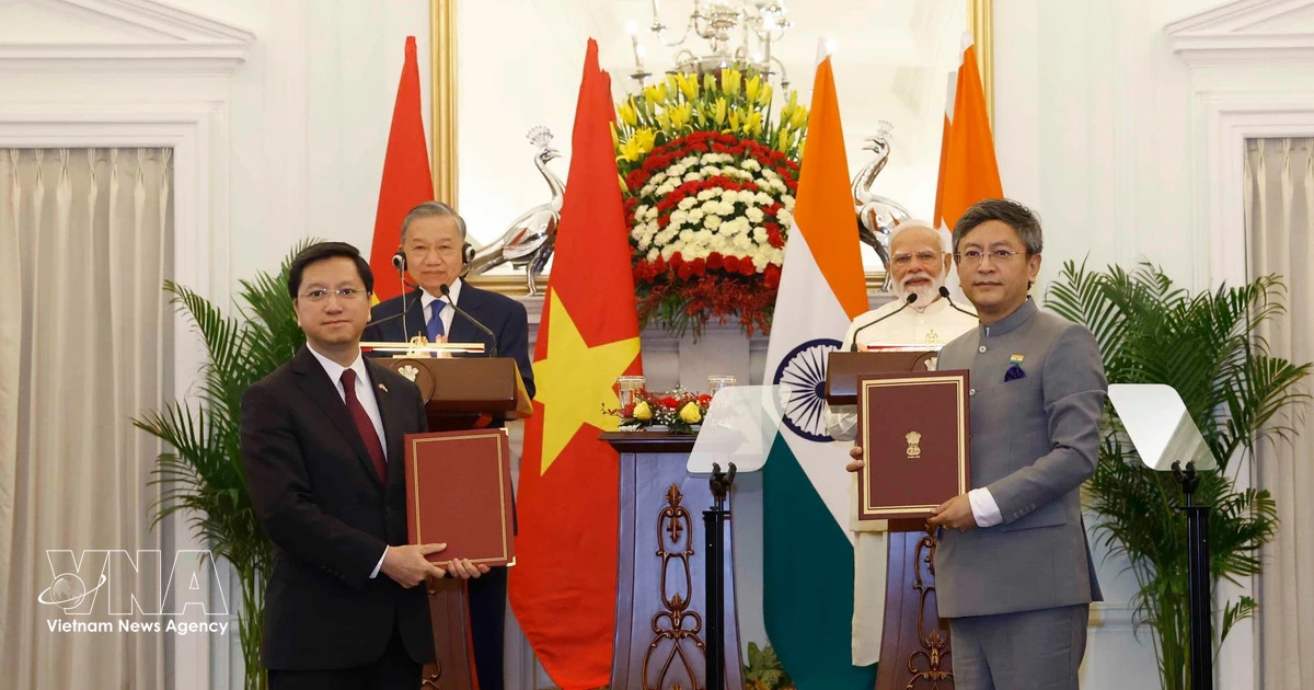 Vietnamese, Indian leaders witness exchange of various deals