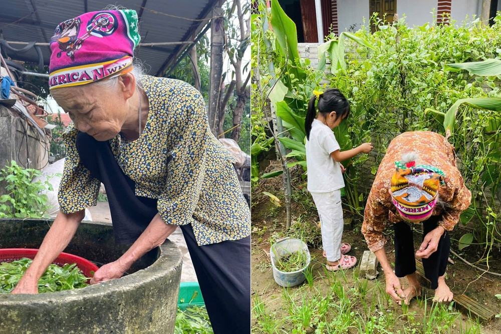 Vietnamese grandmas' secret: longevity through discipline and labor