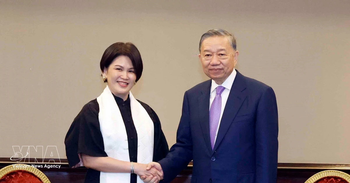 Vietnam’s top leader receives Philippines-based organisations, businesses