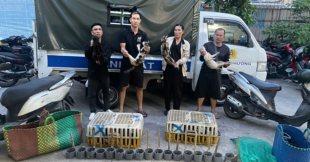 Ho Chi Minh City police bust interprovincial pet theft network, save 500 cats