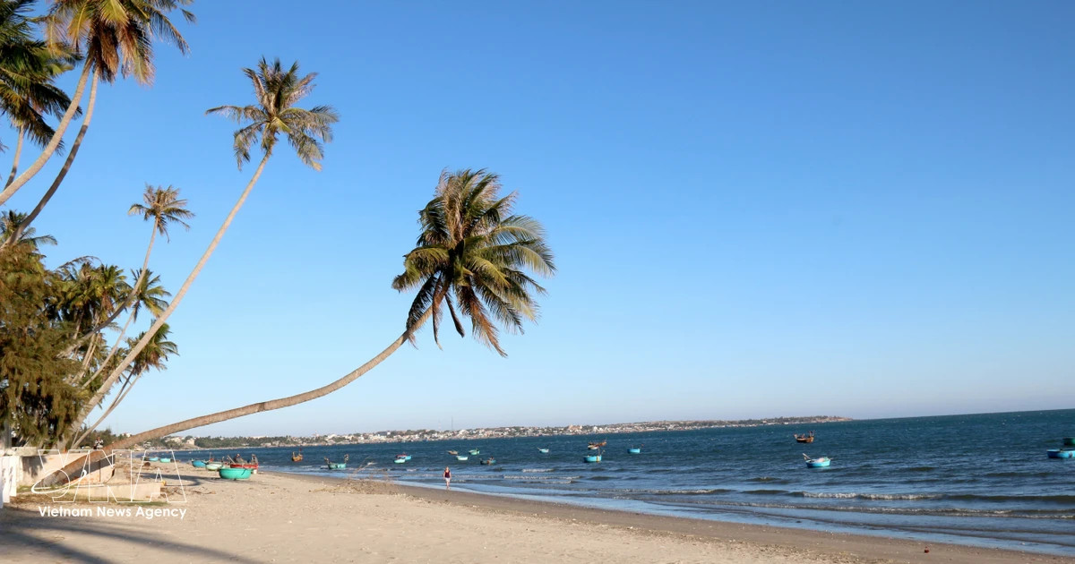Mui Ne emerges as one of Asia's top kitesurfing destinations