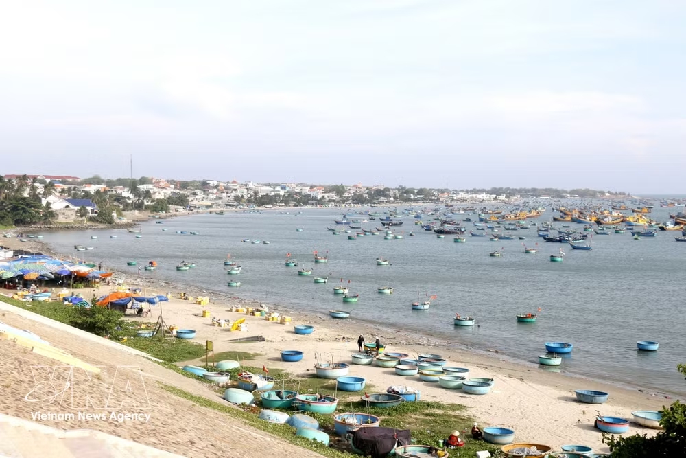 vnanet-mui-ne-1.jpg