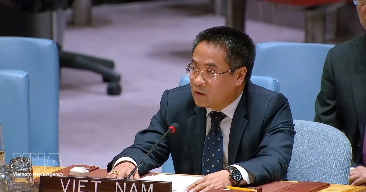 Vietnam calls for dialogue, mediation to advance lasting peace in Middle East