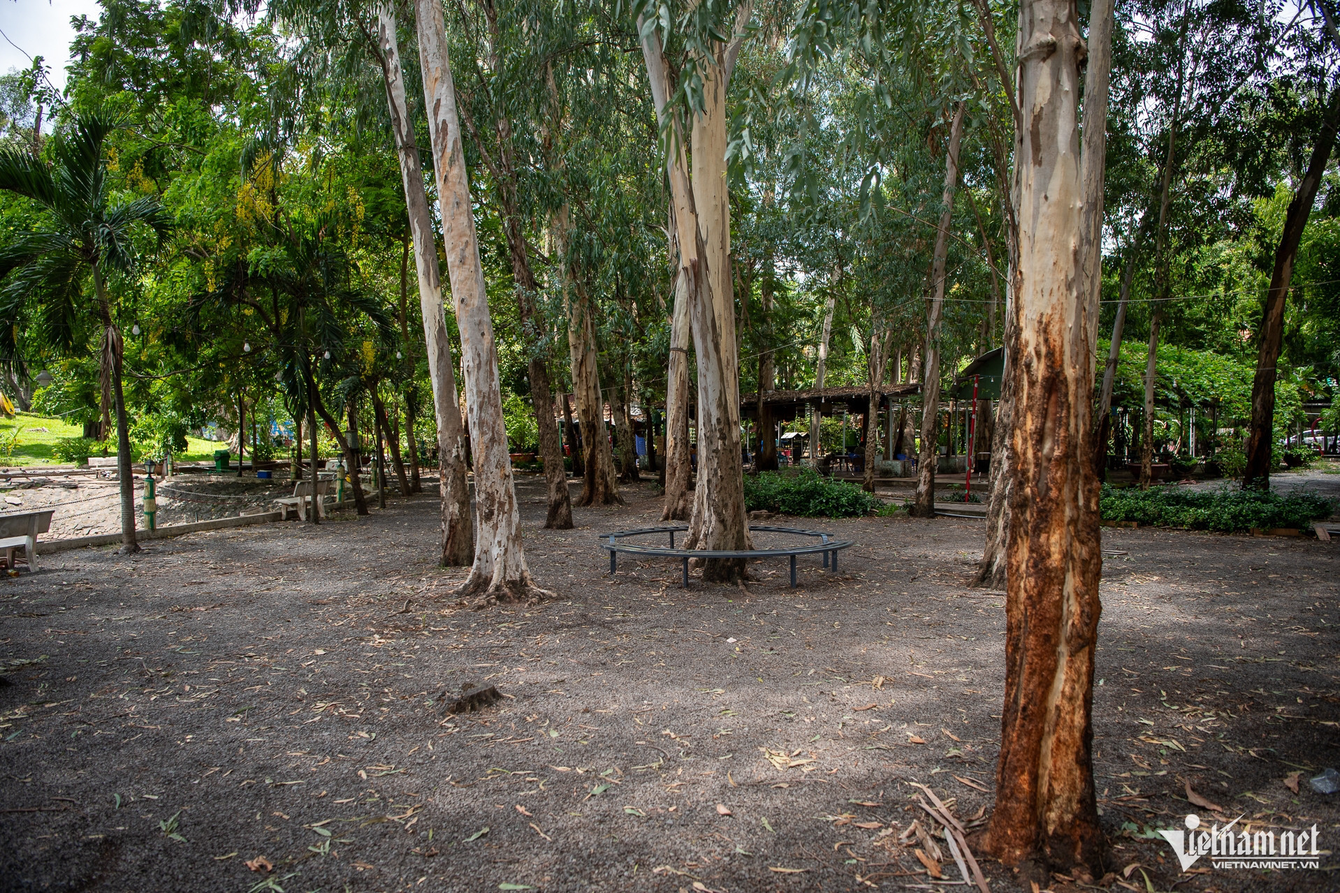 le thi rieng park6.jpg