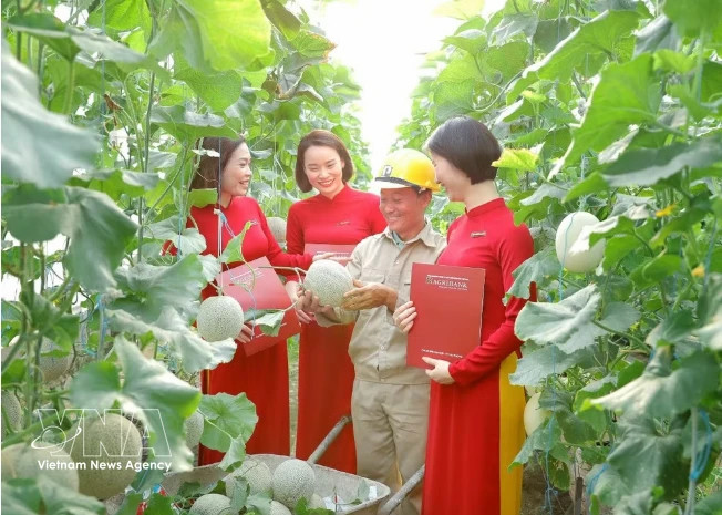 Green finance gains momentum as Vietnam pursues sustainable growth