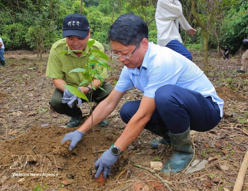 Vietnam's oldest national park, RoK partners strengthen cooperation