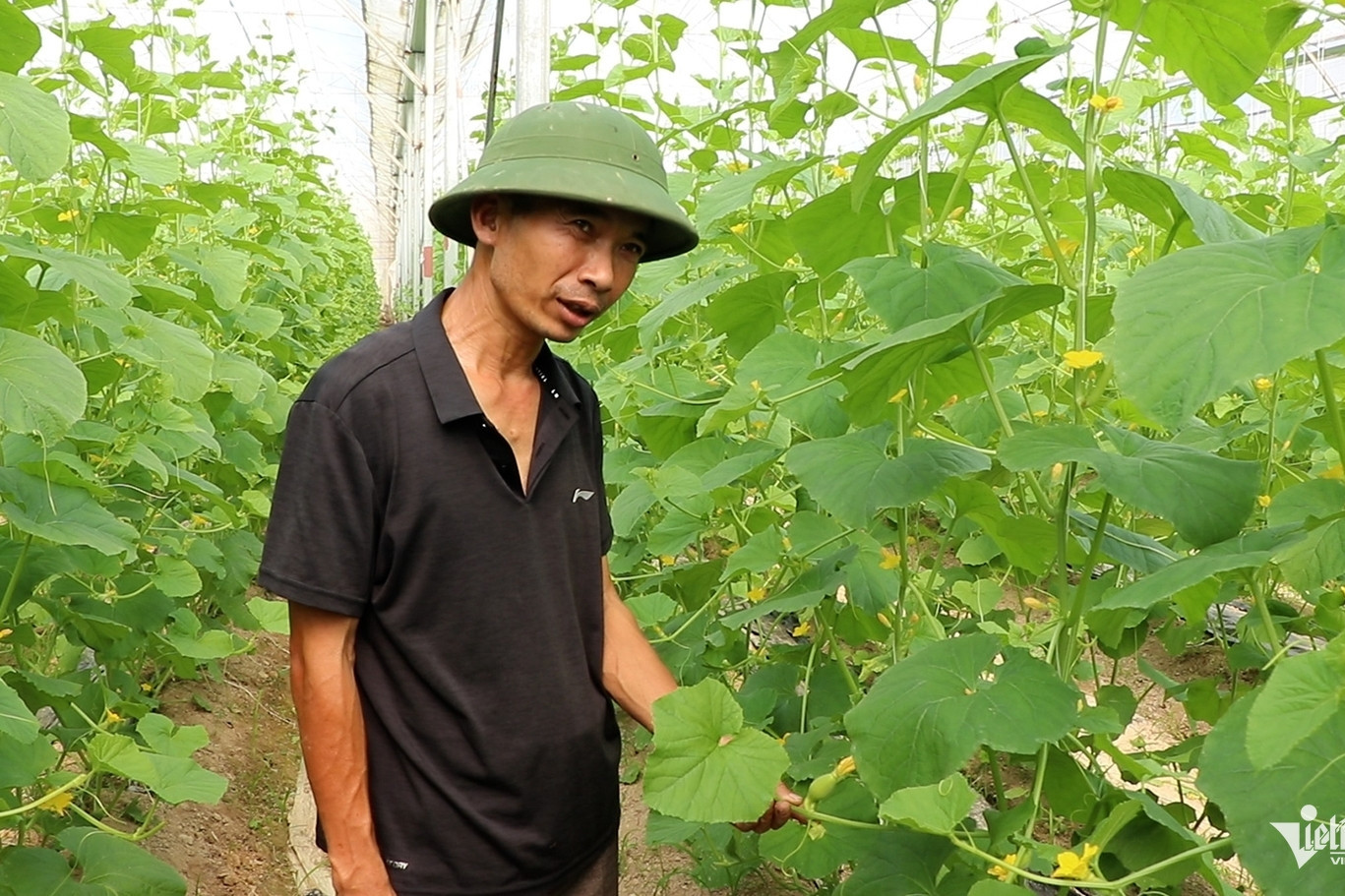 Engineer trades city life for high-tech farming venture in hometown