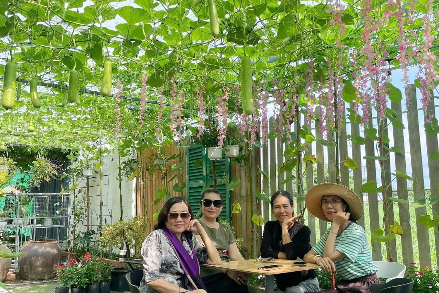 Can Tho man turns 13-variety vineyard into bustling tourism hotspot