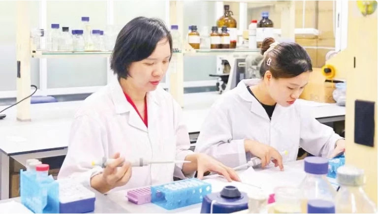 Vietnamese scientists develop nanovitexin from mung bean husks