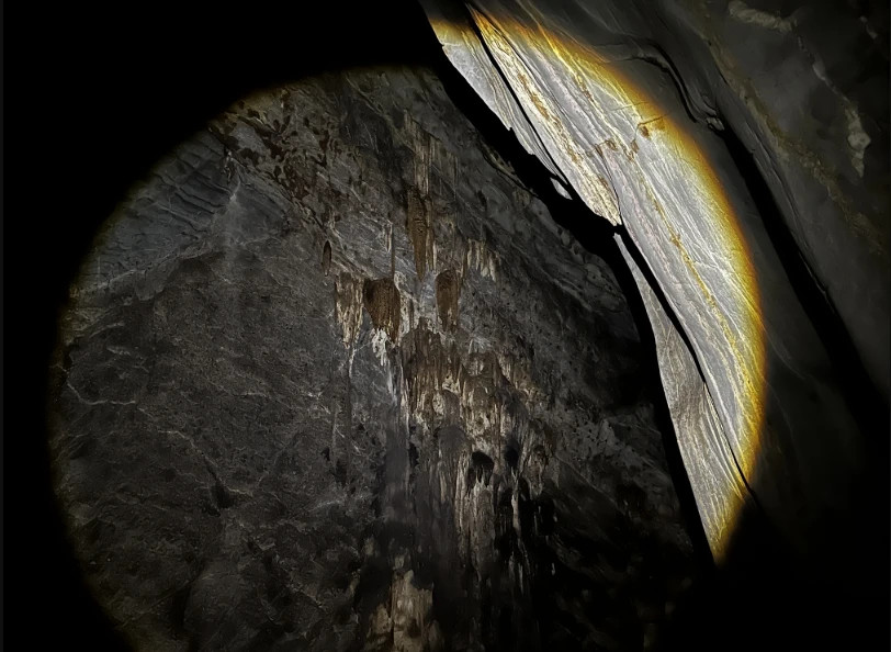 New cave discovered in Quang Tri's primary forest