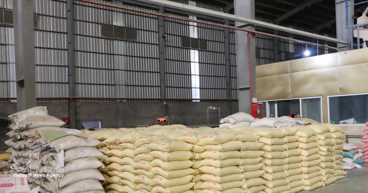 Vietnam ships 5 million tonnes of rice abroad in first half