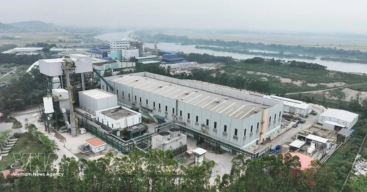 Dutch firm eyes 125-mln-USD waste-to-energy project in Tay Ninh