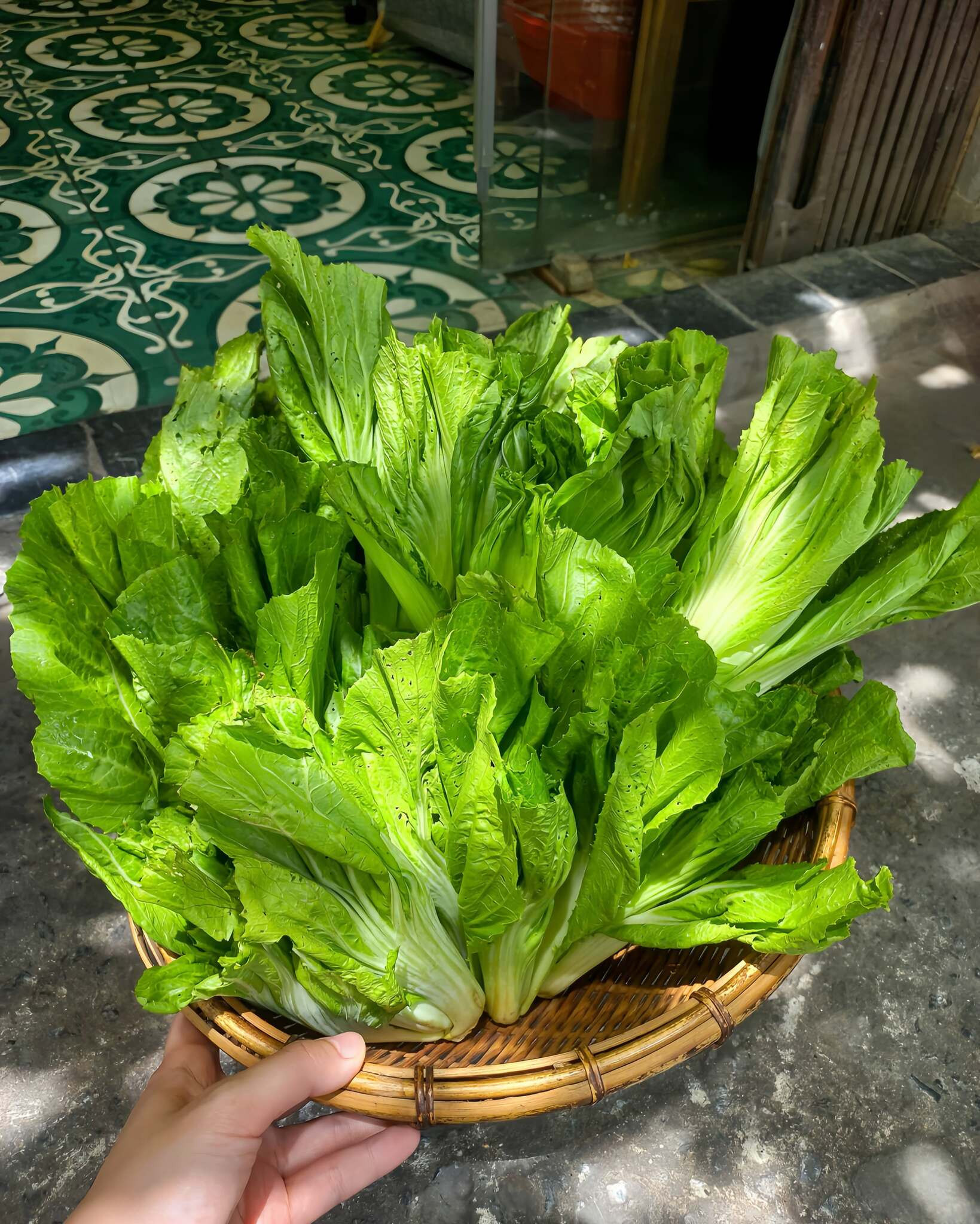 michelin restaurant9.jpg