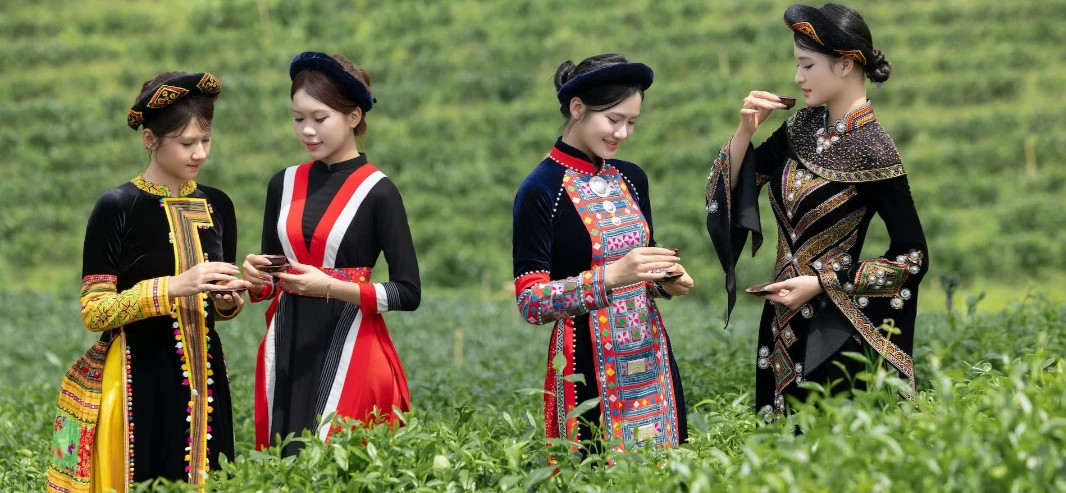 Tea culture celebrated amid Thai Nguyen’s green hills