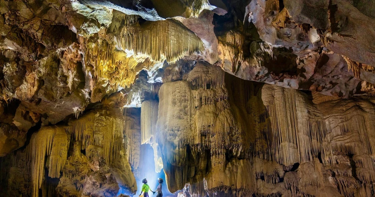 New cave with rare stalactites, cave pearls discovered in Phong Nha – Ke Bang